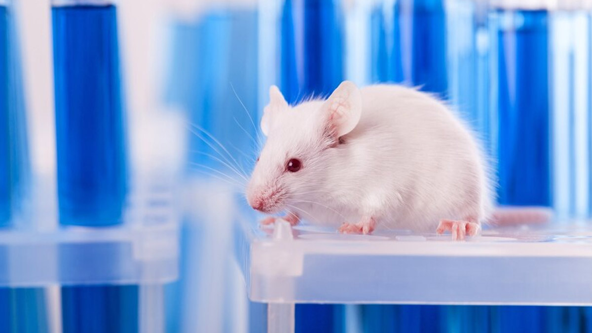 Cinnamon Can Protect You From Prostate Cancer ICMR Study OnlyMyHealth